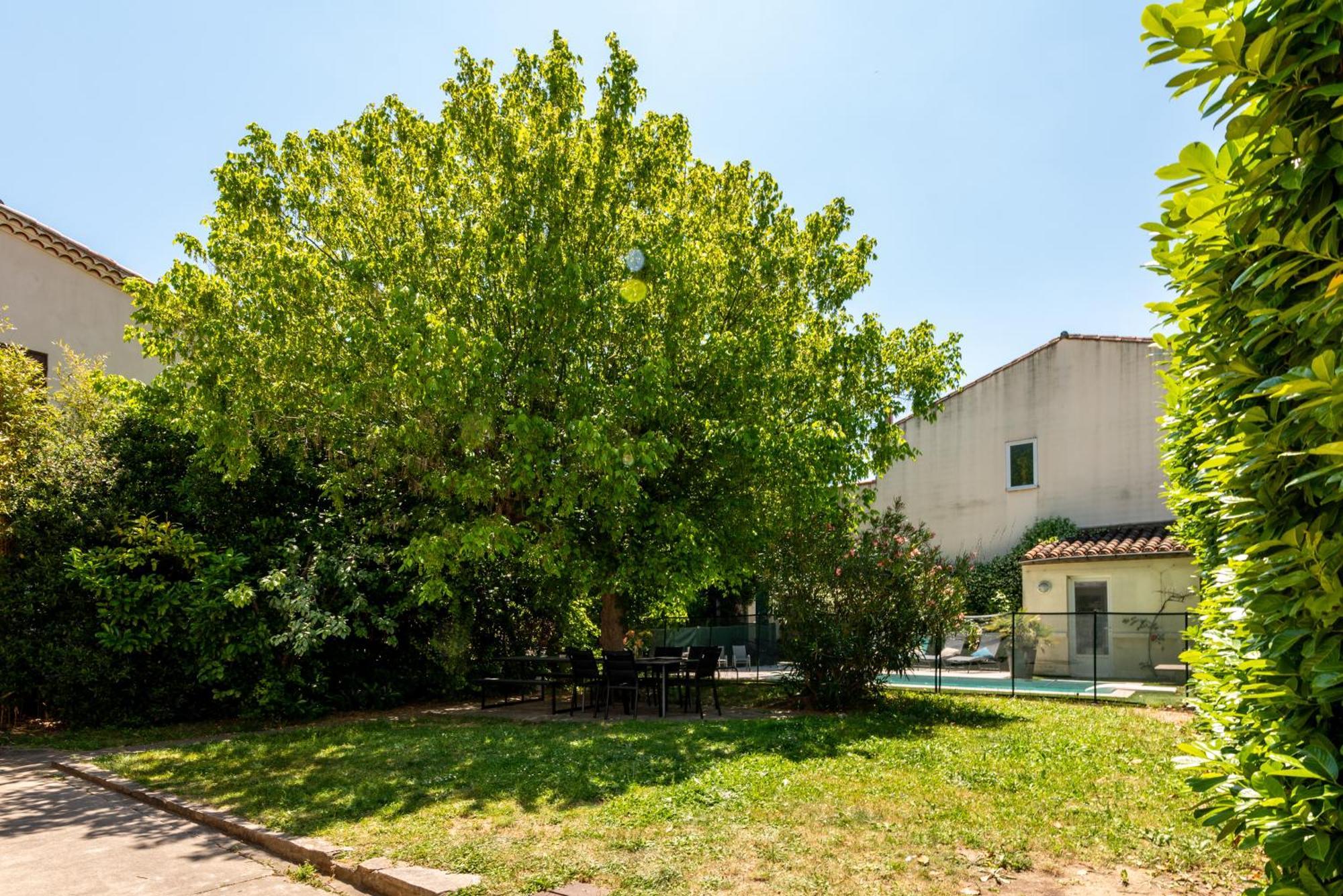 Villa La Casa Grande - Piscine - Wifi - Parking Carcassonne Exterior foto